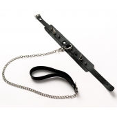 Черный ошейник с шипами и поводком - Crazy Handmade - купить с доставкой в Салавате