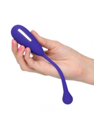 Фиолетовый шарик с электростимуляцией и вибрацией Intimate E-Stimulator Remote Kegel Exerciser - California Exotic Novelties - купить с доставкой в Салавате