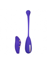 Фиолетовый шарик с электростимуляцией и вибрацией Intimate E-Stimulator Remote Kegel Exerciser - California Exotic Novelties - купить с доставкой в Салавате