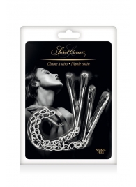 Регулируемые зажимы для сосков Sweet Caress Nipple Chain - Sweet Caress - купить с доставкой в Салавате