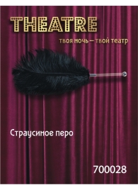 Чёрное страусовое пёрышко - ToyFa - купить с доставкой в Салавате