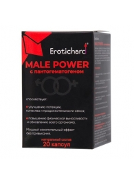 Капсулы для мужчин Erotichard male power с пантогематогеном - 20 капсул (0,370 гр.) - Erotic Hard - купить с доставкой в Салавате