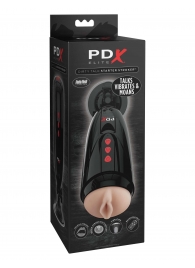 Мастурбатор-вагина с вибрацией Dirty Talk Starter Stroker - Pipedream - в Салавате купить с доставкой