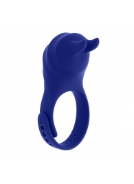 Синее эрекционное виброкольцо с клиторальной подушечкой и пультом ДУ Adjustable Fun Ring - Zero Tolerance - в Салавате купить с доставкой