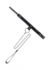 Черный узкий однослойный ошейник с серебристым поводком-цепочкой - Pecado - купить с доставкой в Салавате