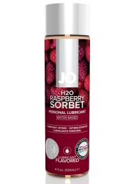 Лубрикант на водной основе с ароматом малины JO Flavored Raspberry Sorbet - 120 мл. - System JO - купить с доставкой в Салавате