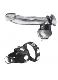 Утяжка для мошонки и пениса Cock Ring With 1  Ball Stretcher And Optional Weight Ring - BlueLine - купить с доставкой в Салавате