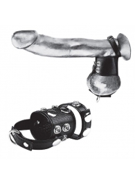 Утяжка на пенис и мошонку Cock Ring With 1.5  Ball Stretcher And Optional Weight Ring - BlueLine - купить с доставкой в Салавате