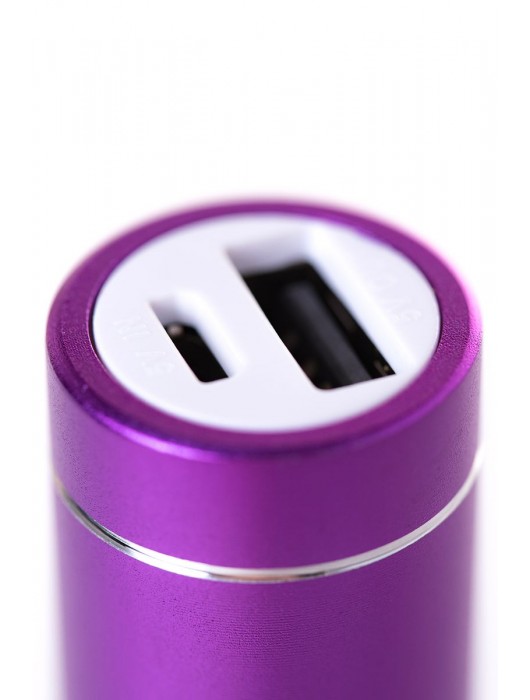 Портативное зарядное устройство A-toys 2400 mAh microUSB - A-toys - купить с доставкой в Салавате