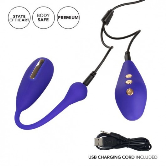 Фиолетовый шарик с электростимуляцией и вибрацией Intimate E-Stimulator Remote Kegel Exerciser - California Exotic Novelties - купить с доставкой в Салавате