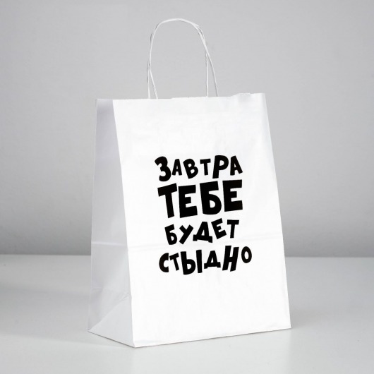 Подарочный пакет  Завтра тебе будет стыдно  - 30 х 24 см. - UPAK LAND - купить с доставкой в Салавате