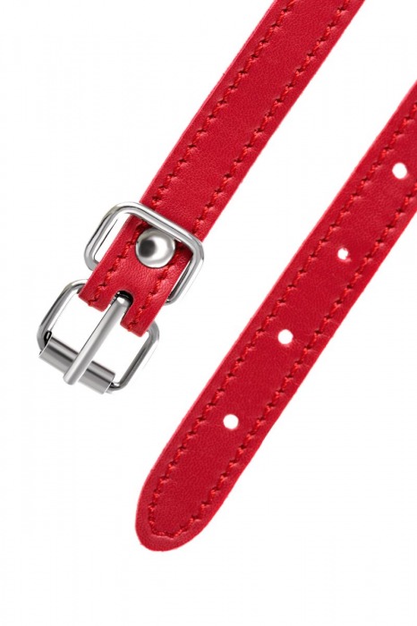 Красная маска Anonymo из искусственной кожи - ToyFa - купить с доставкой в Салавате