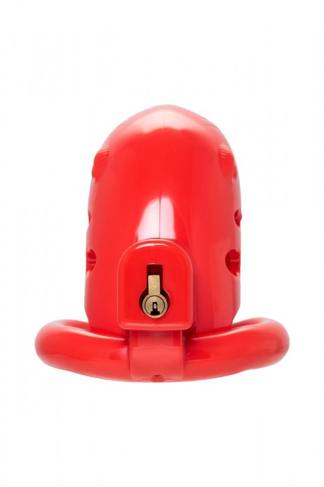 Красный мужской пояс верности из пластика - ToyFa - купить с доставкой в Салавате