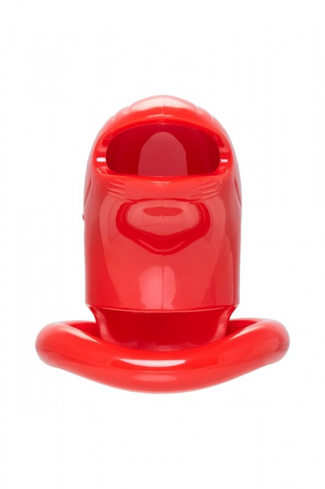 Красный мужской пояс верности из пластика - ToyFa - купить с доставкой в Салавате