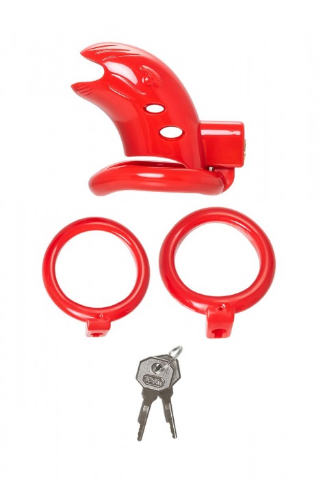 Красный мужской пояс верности из пластика - ToyFa - купить с доставкой в Салавате