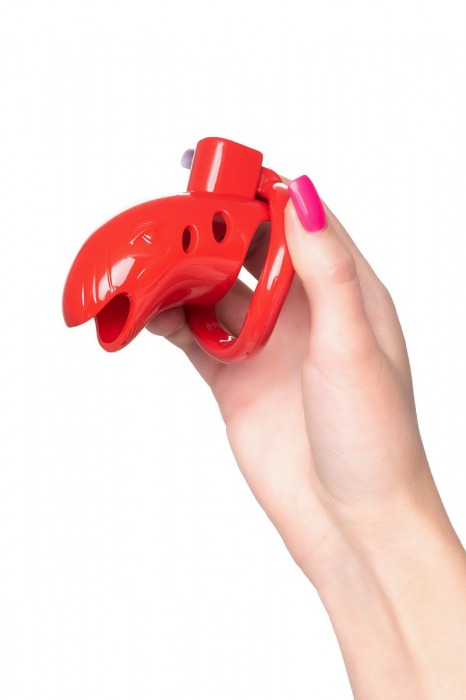 Красный мужской пояс верности из пластика - ToyFa - купить с доставкой в Салавате