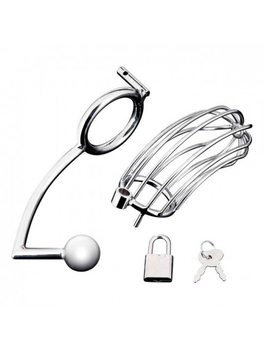 Серебристая металлическая клетка с анальным стимулятором Cock Cage - BlueLine - купить с доставкой в Салавате