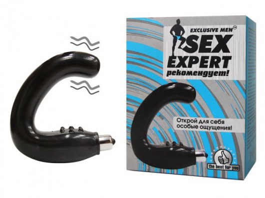 Чёрный массажёр простаты серии Sex Expert - Sex Expert - в Салавате купить с доставкой