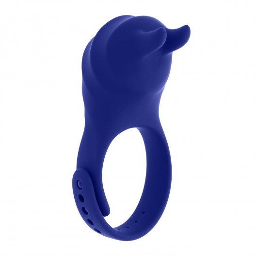 Синее эрекционное виброкольцо с клиторальной подушечкой и пультом ДУ Adjustable Fun Ring - Zero Tolerance - в Салавате купить с доставкой