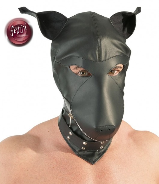 Шлем-маска Dog Mask в виде морды собаки - Orion - купить с доставкой в Салавате